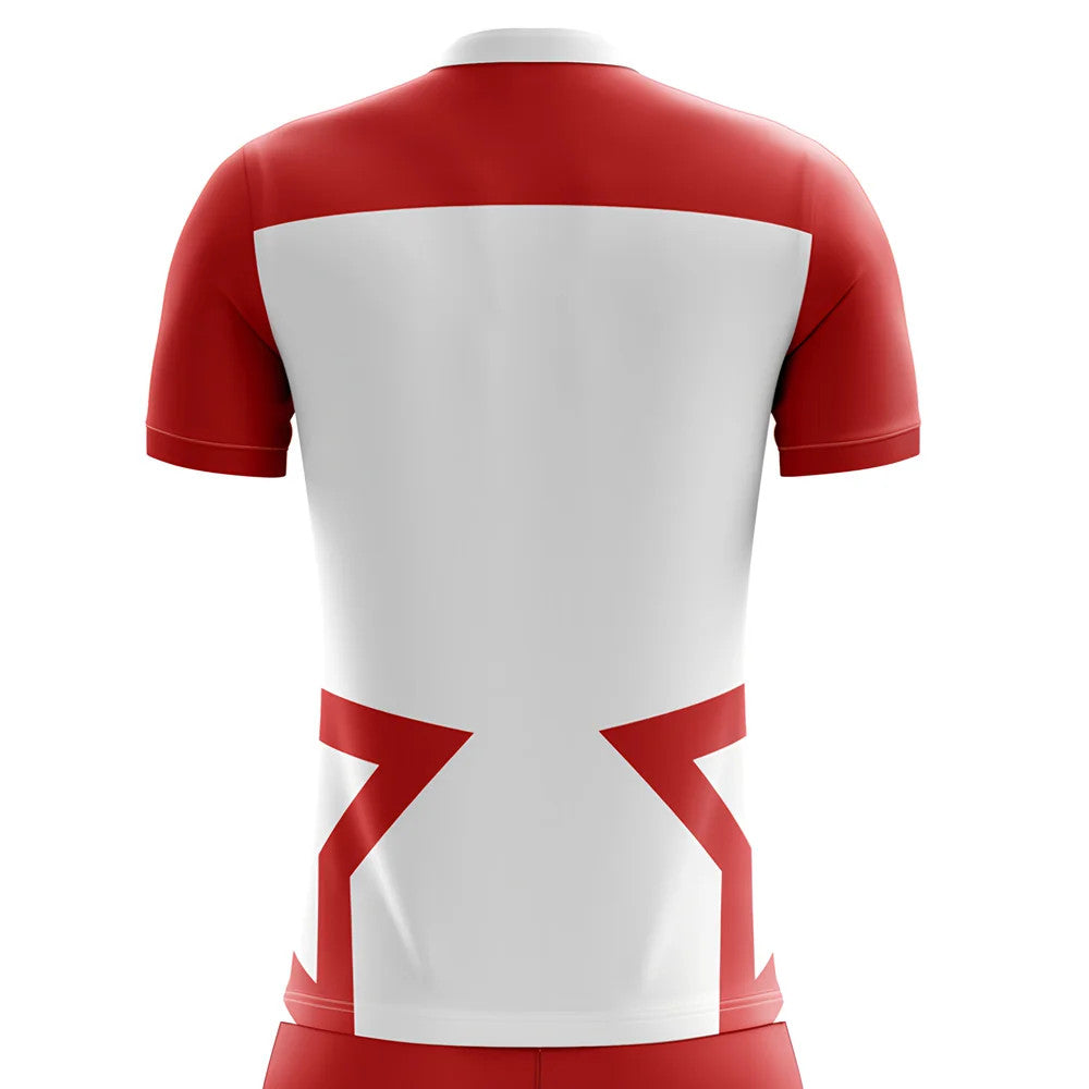 2025-2026 Tunisia Home Concept Football Shirt_1