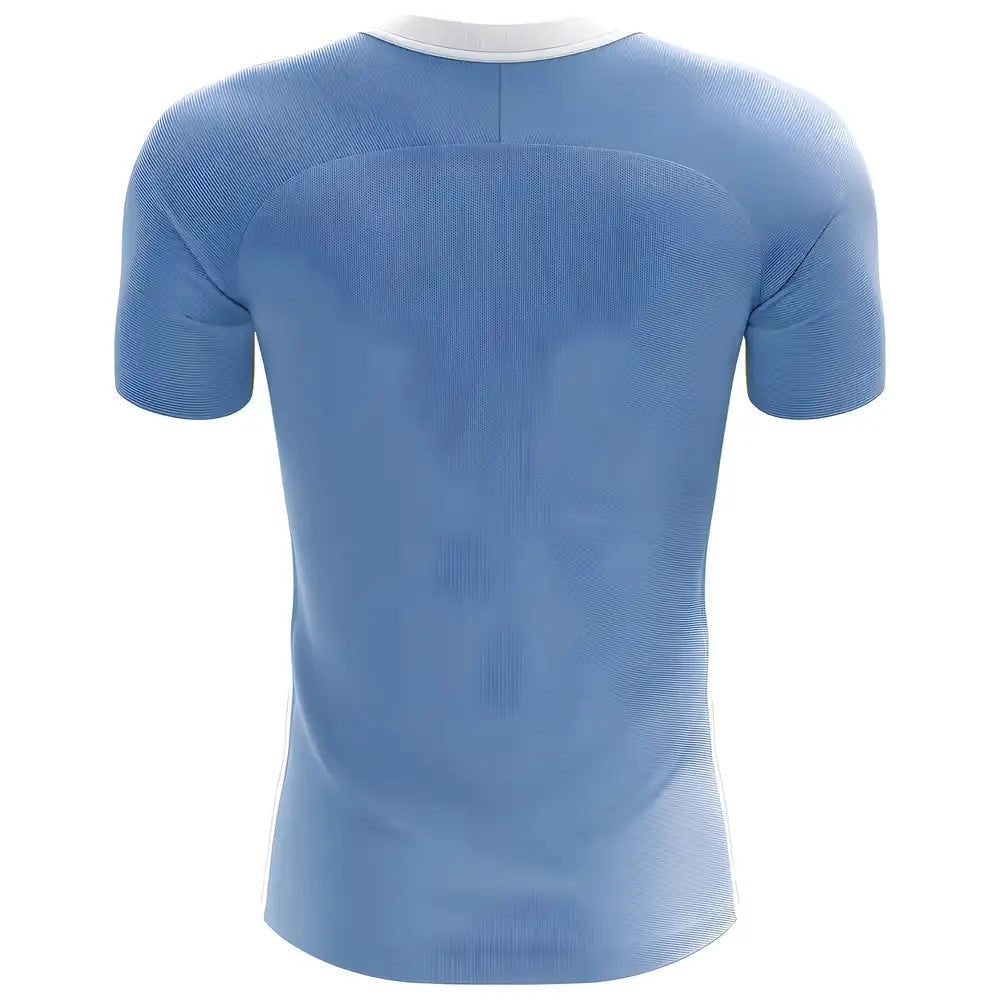 2025-2026 Argentina Flag Concept Football Shirt_1