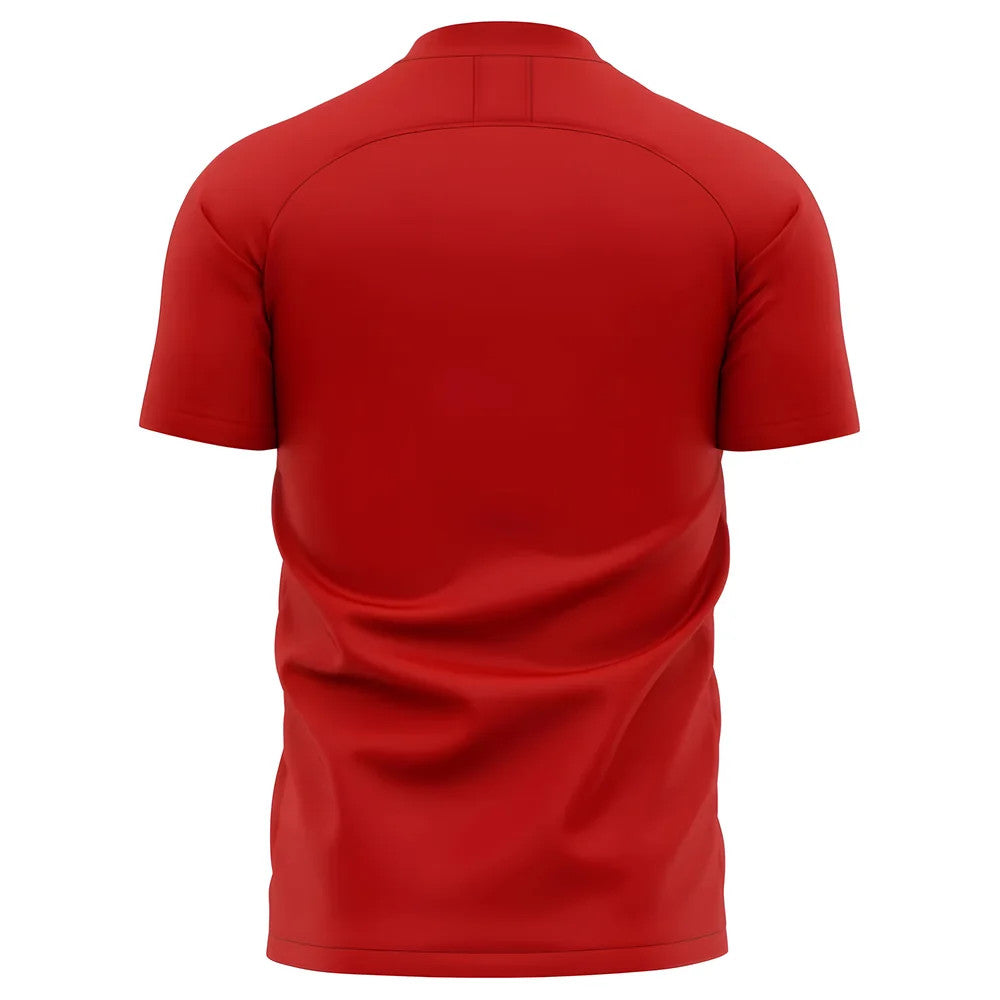 2025-2026 Southampton Home Concept Football Shirt - Adult Long Sleeve_1
