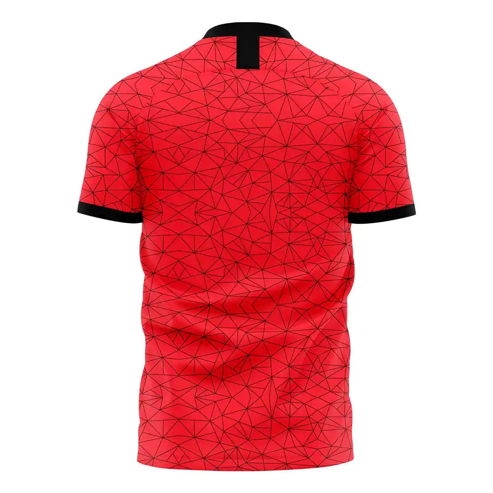 Albania 2025-2026 Home Concept Football Kit (Libero)_1