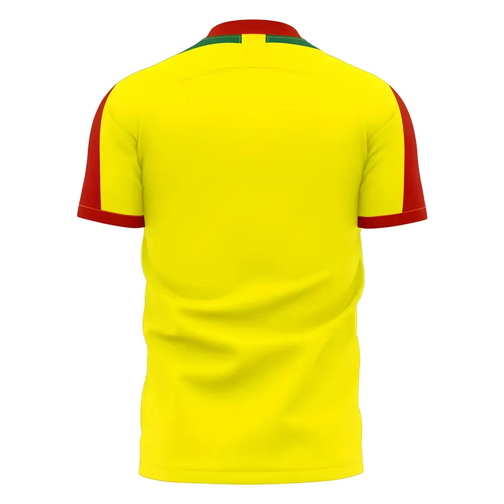 Benin 2025-2026 Home Concept Football Kit (Libero)_1