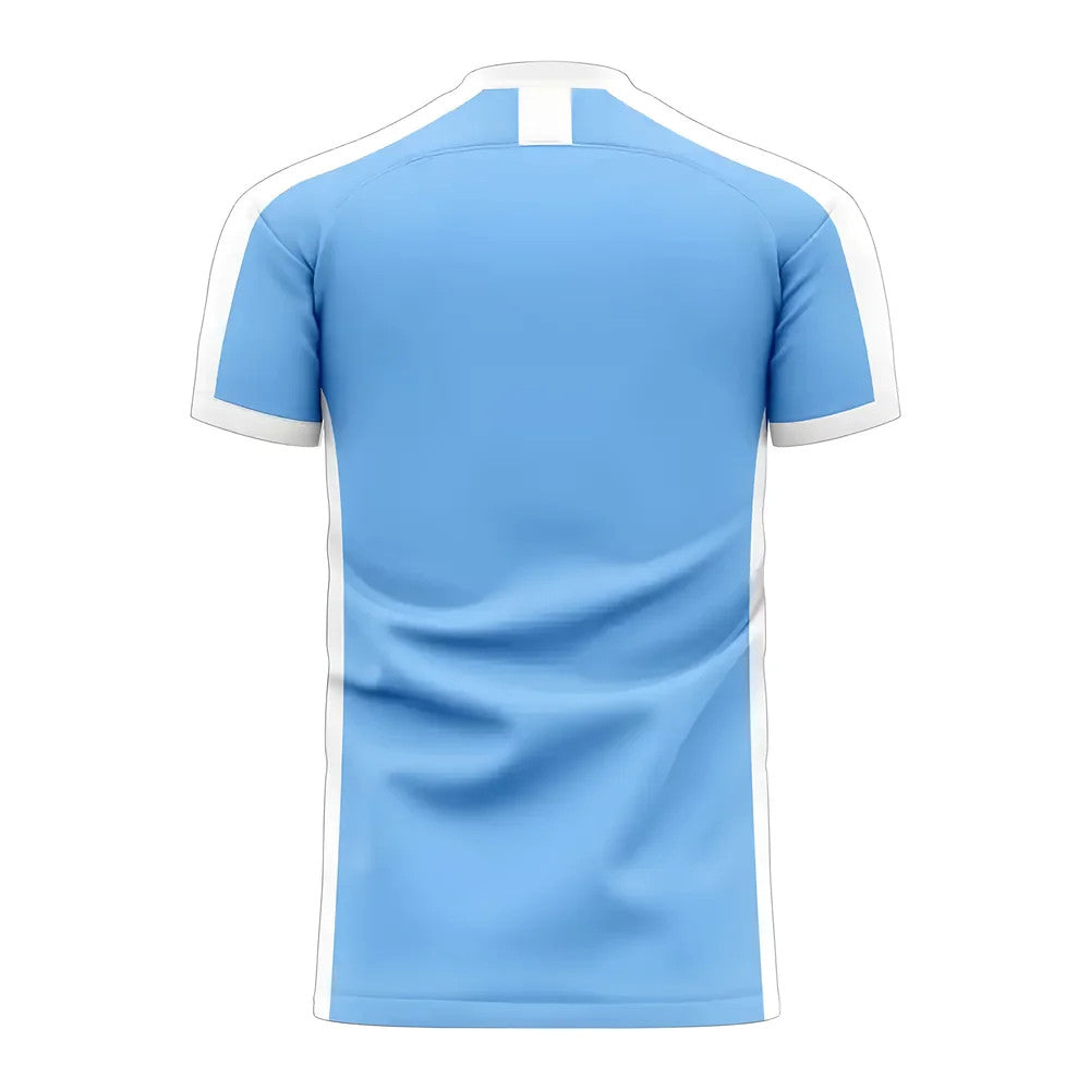 Djibouti 2025-2026 Home Concept Football Kit (Libero) - Adult Long Sleeve_1
