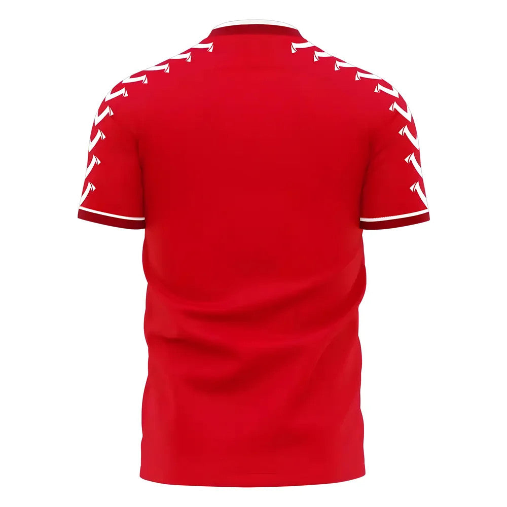 Guinea Bissau 2025-2026 Home Concept Football Kit (Viper)_1