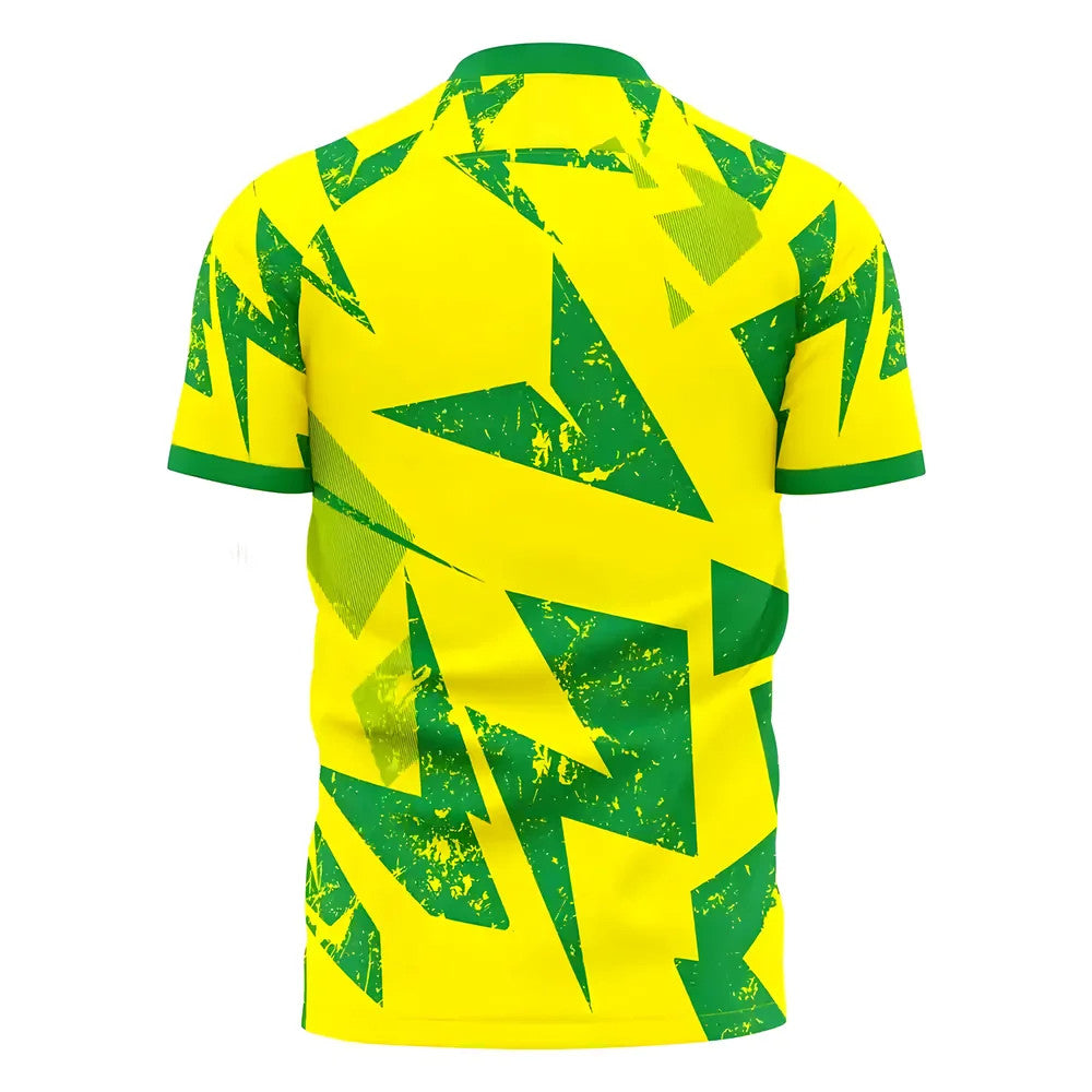 Norwich 2025-2026 Home Concept Football Kit (Libero)_1