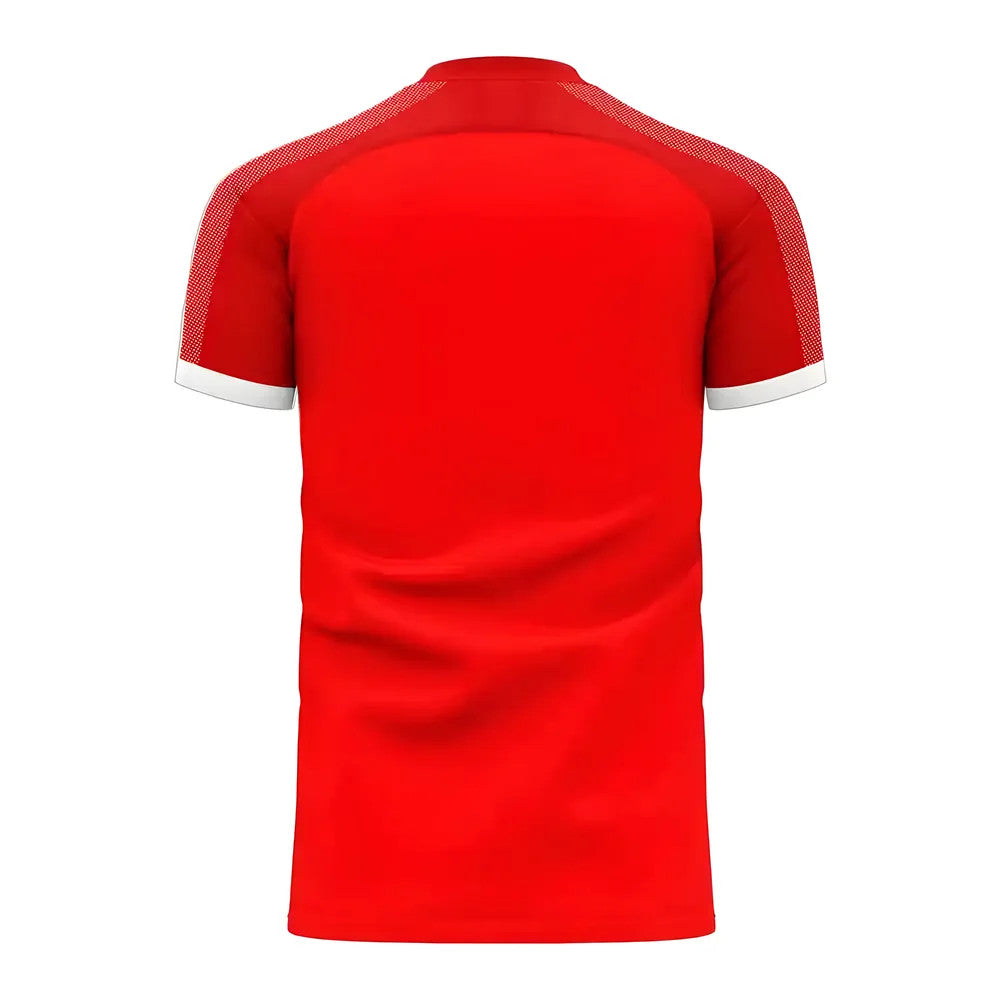 Serbia 2025-2026 Home Concept Football Kit (Libero) (MITROVIC 9)_3