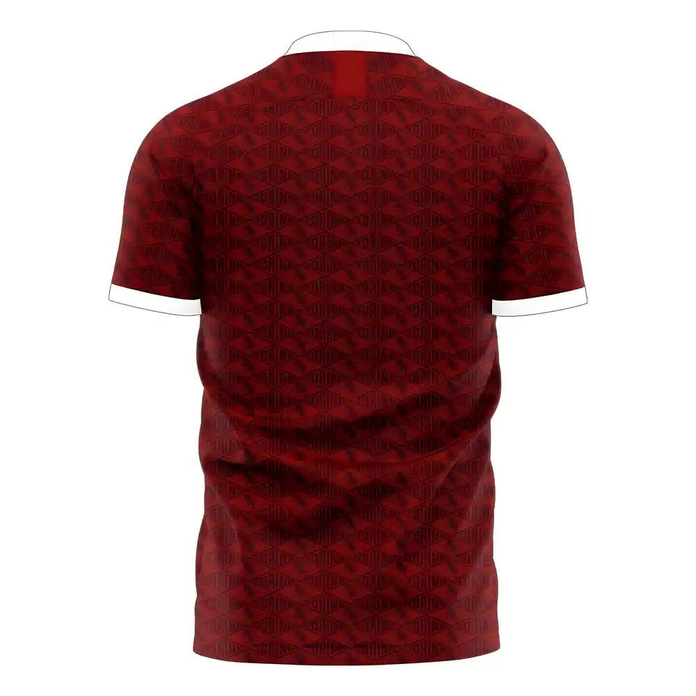 Torino 2025-2026 Home Concept Football Kit (Libero)_1