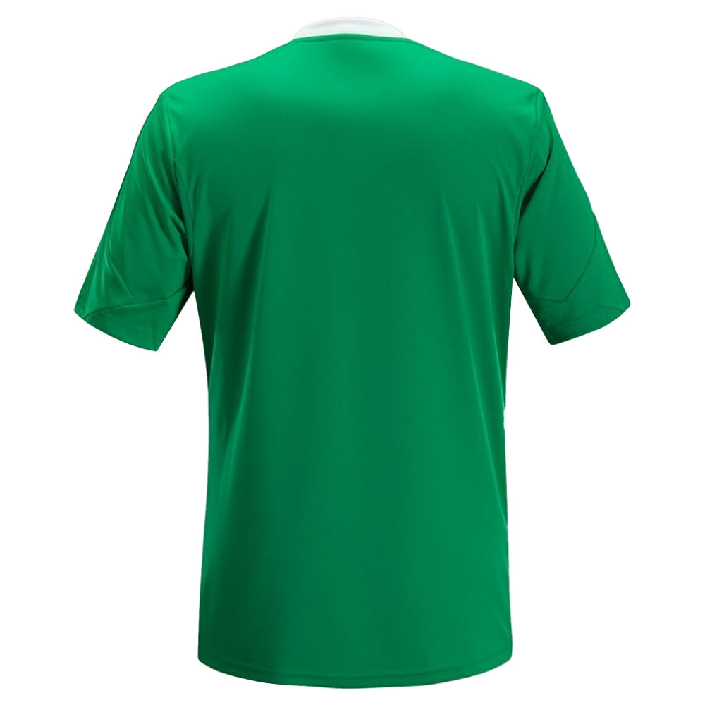 2013-2014 Saint Etienne Home Shirt_1