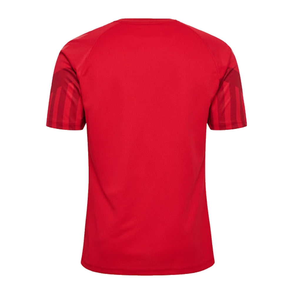 2022-2023 Denmark Home Jersey_1