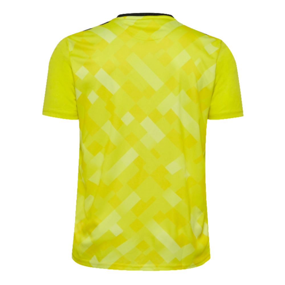 2024-2025 Denmark Home Goalkeeper Shirt (Yellow)_1