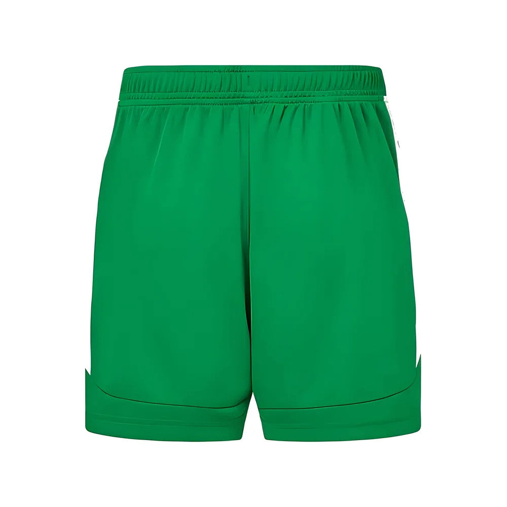2024-2025 Republic of Ireland Away Shorts (Green)_1