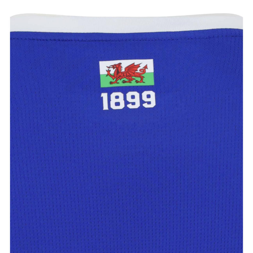 2026-2027 Cardiff City Home Shirt_3