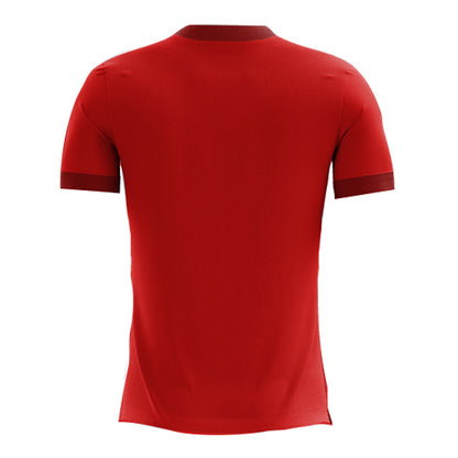2025-2026 Egypt Home Concept Football Shirt_1