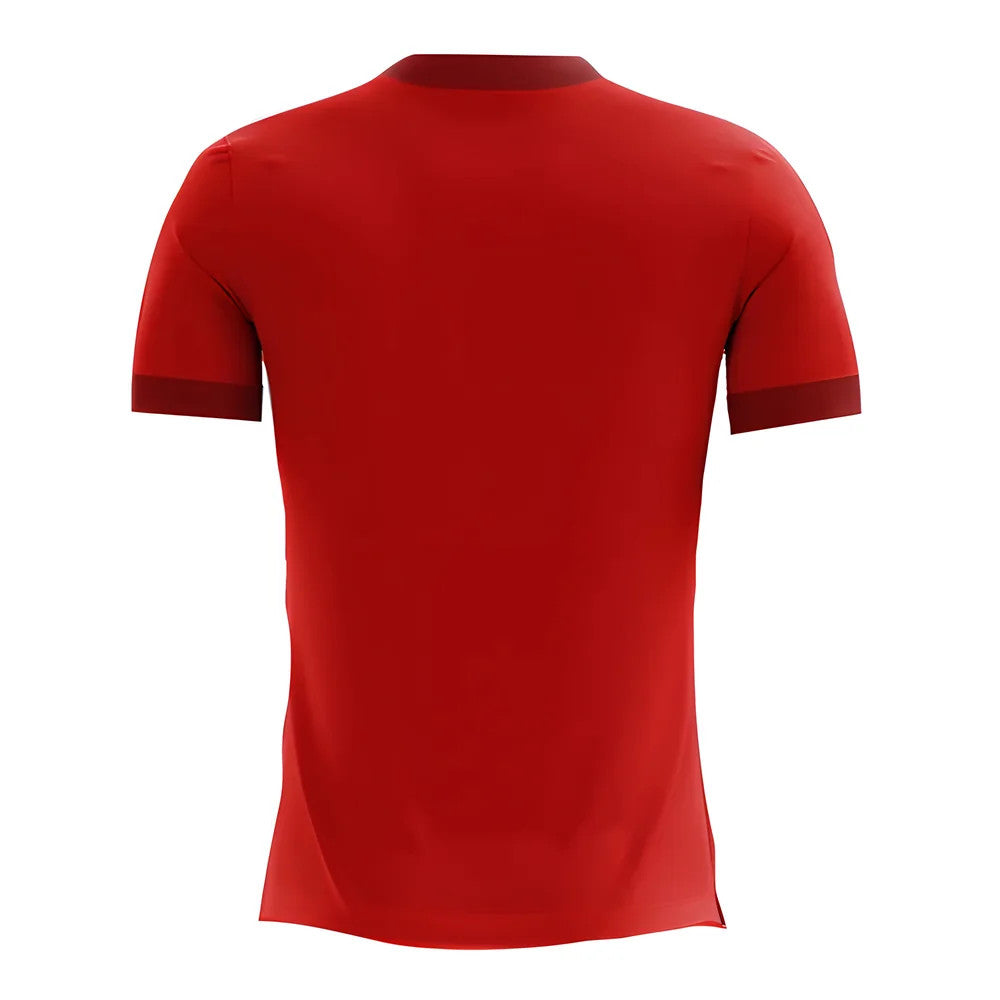 2025-2026 Egypt Home Concept Football Shirt - Baby_1