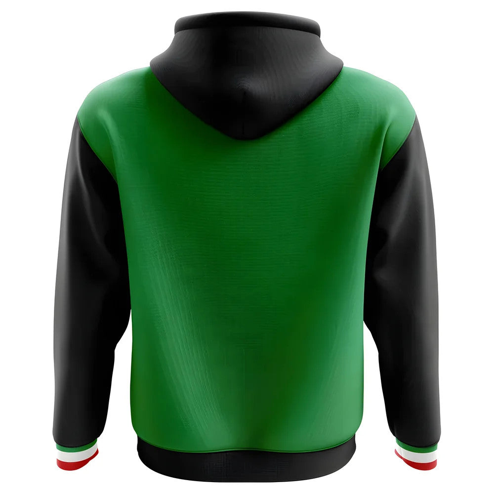 2025-2026 Mexico Home Concept Football Hoody_1