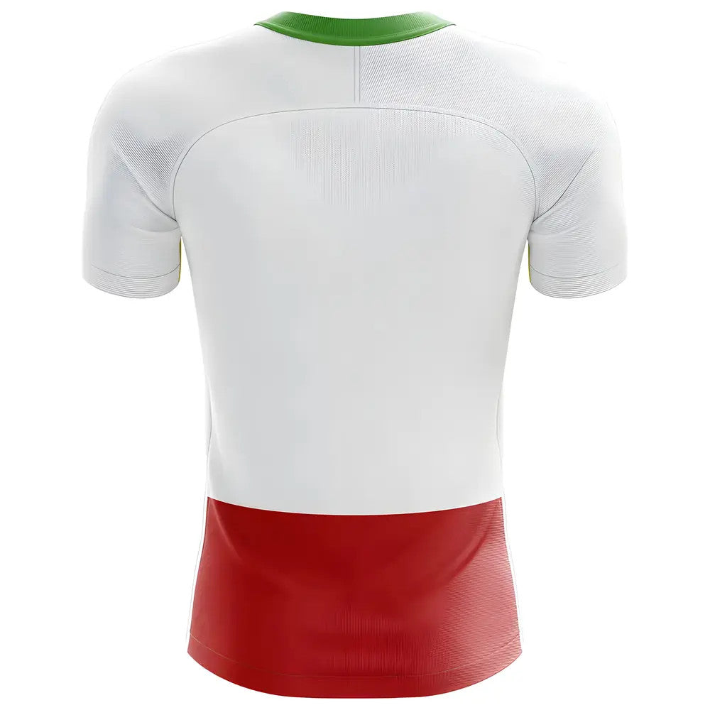 2025-2026 Bulgaria Flag Concept Football Shirt_1