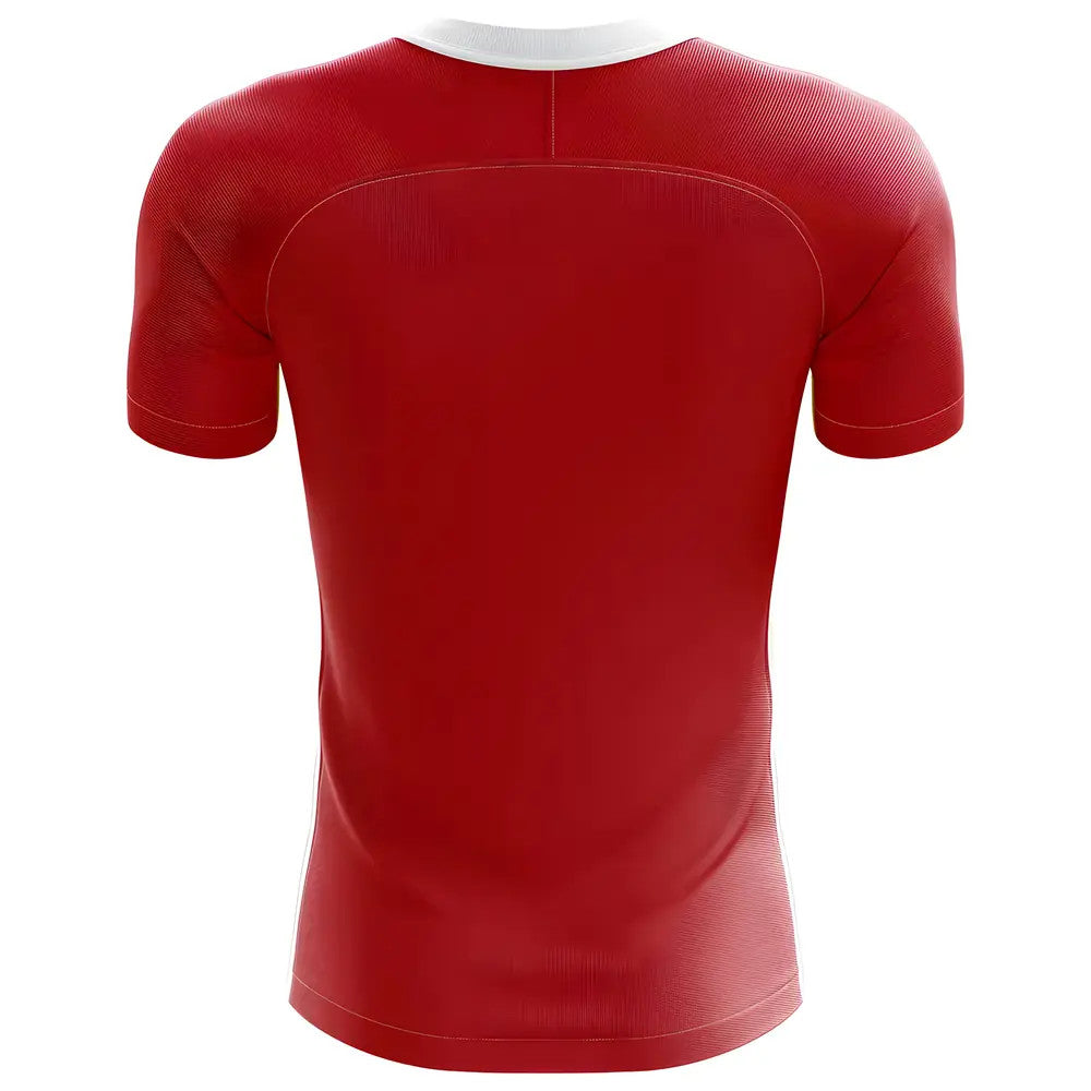 2025-2026 Denmark Flag Concept Football Shirt (Kids)_1