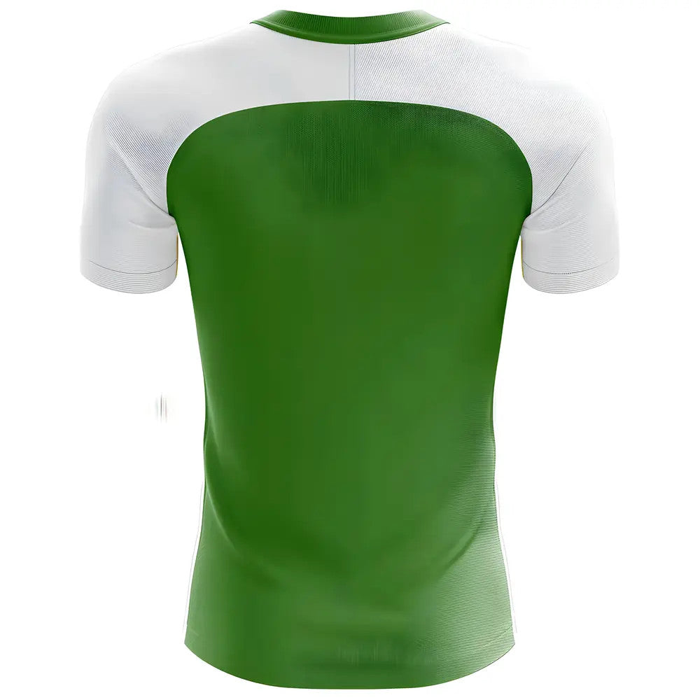 2025-2026 Saudi Arabia Away Concept Football Shirt_1