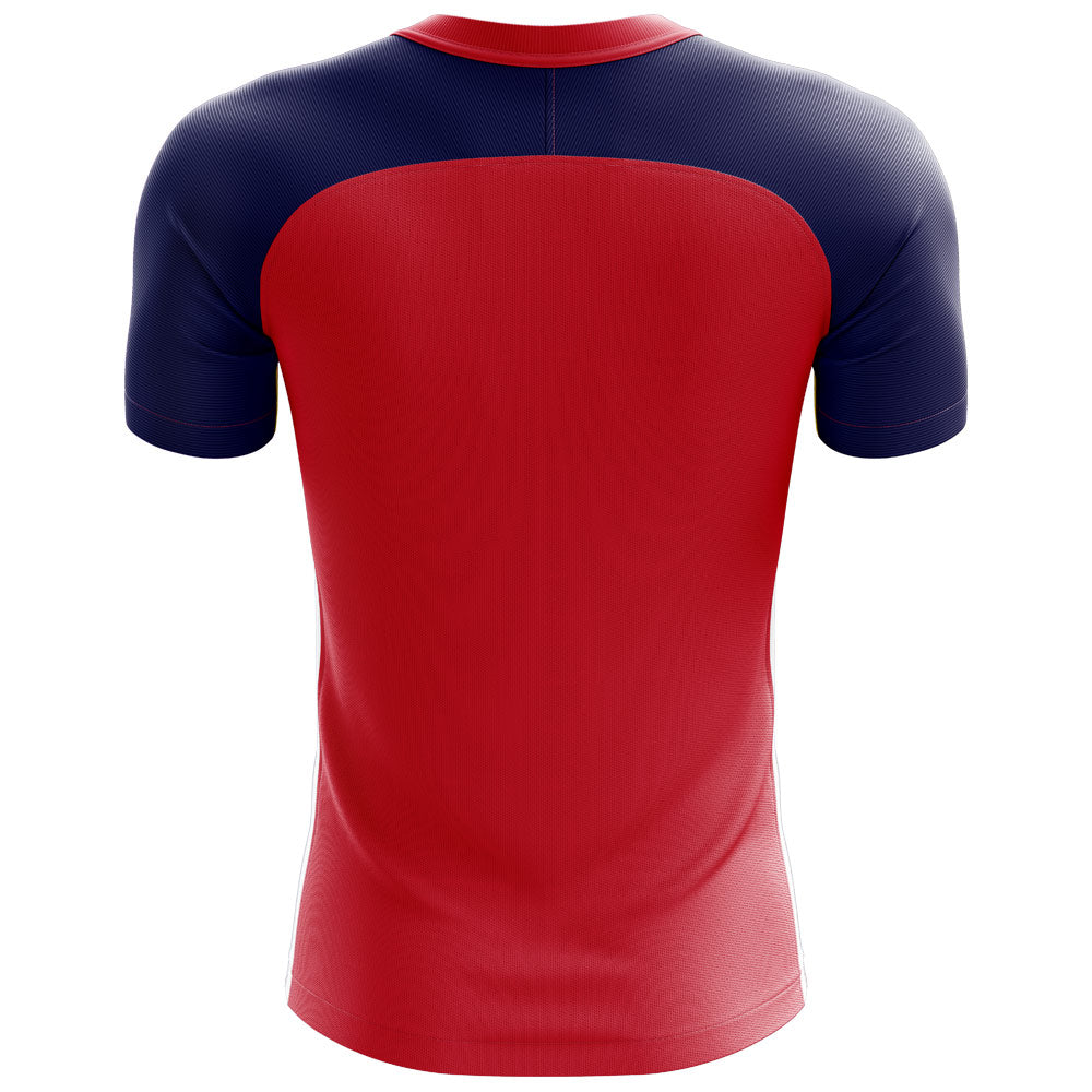 2025-2026 Norway Flag Concept Football Shirt_1