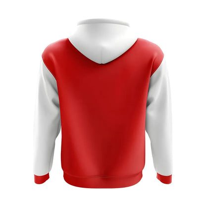 Denmark Concept Country Football Hoody (Red)_1