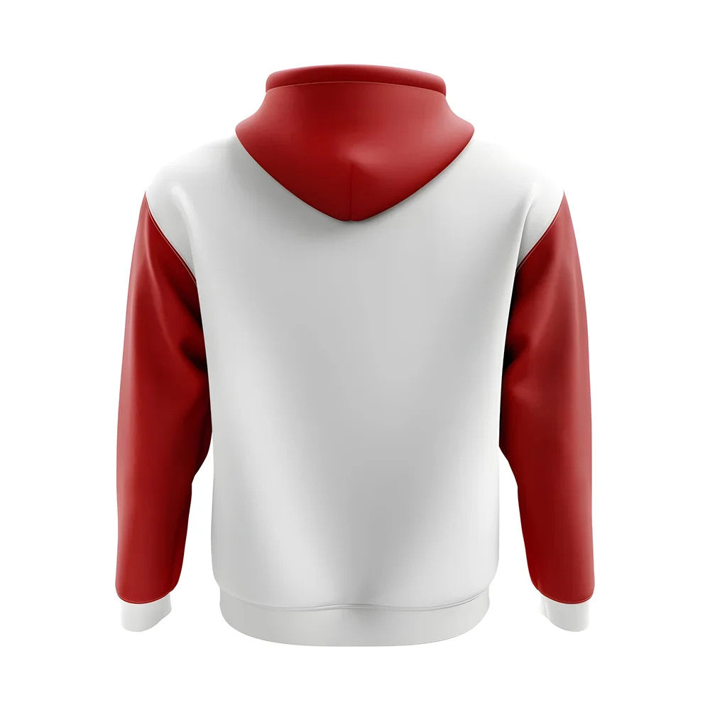 Switzerland Concept Country Football Hoody (White)_1