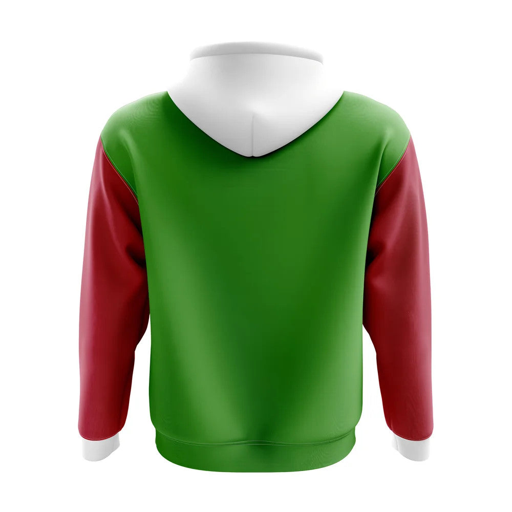 Wales Concept Country Football Hoody (Green)_1