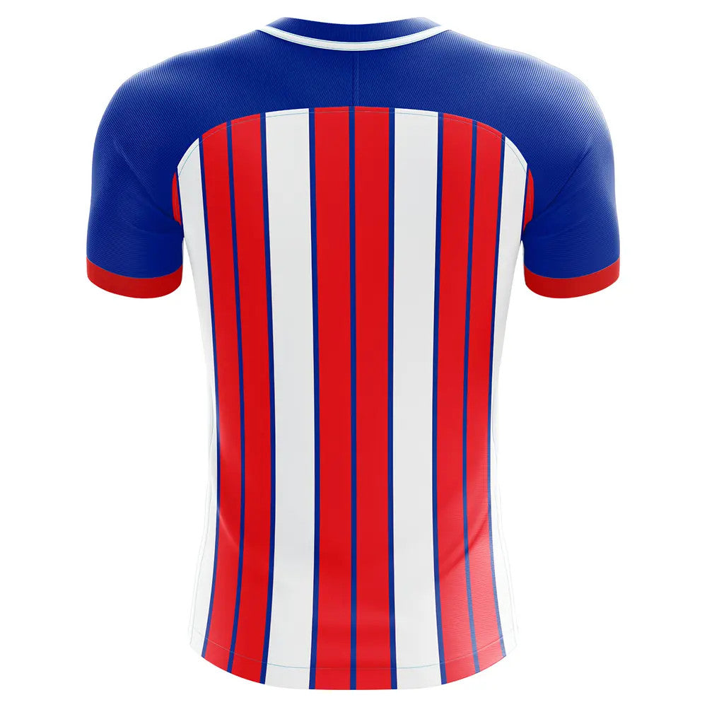 2018-2019 Atletico Madrid Fans Culture Home Concept Shirt_1