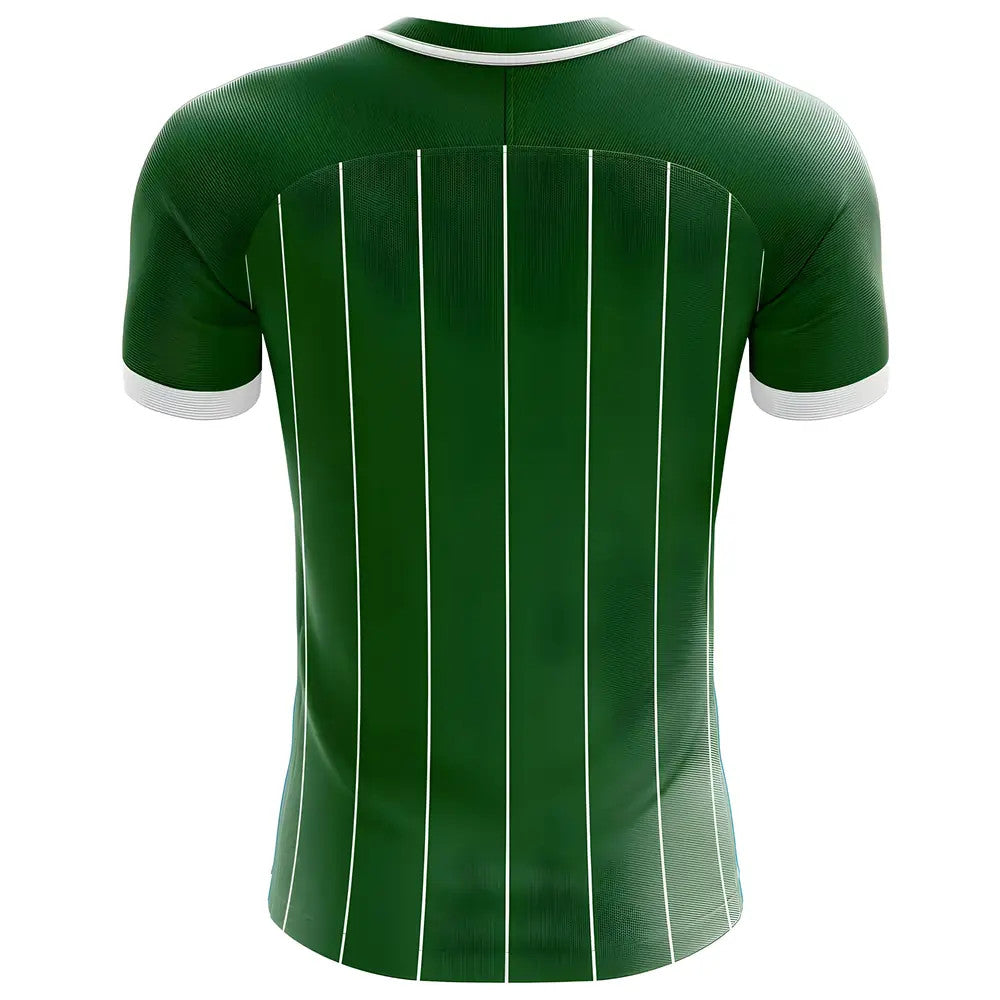 2025-2026 Northern Ireland Home Concept Football Shirt - Kids_1
