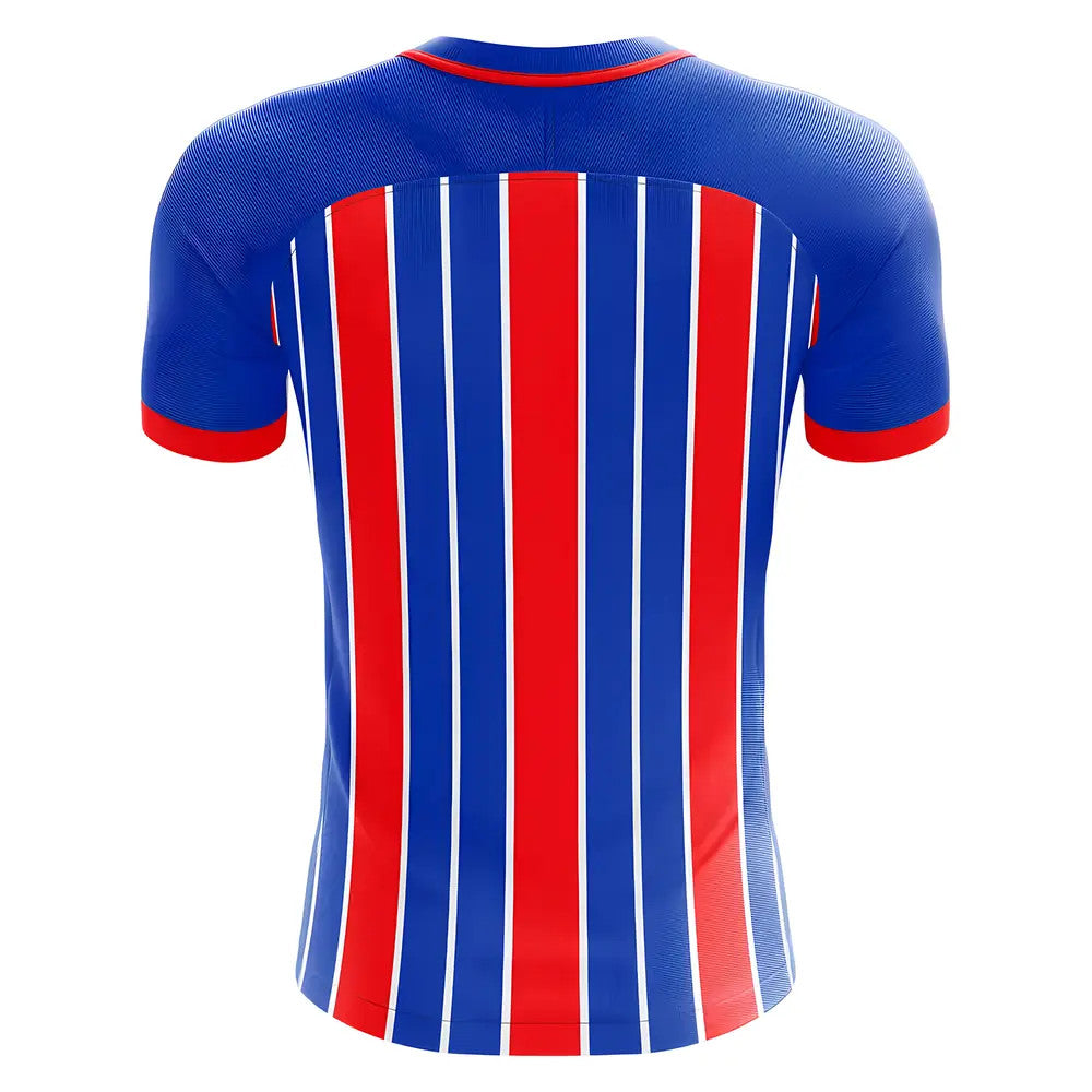 2025-2026 Inverness Home Concept Football Shirt_1