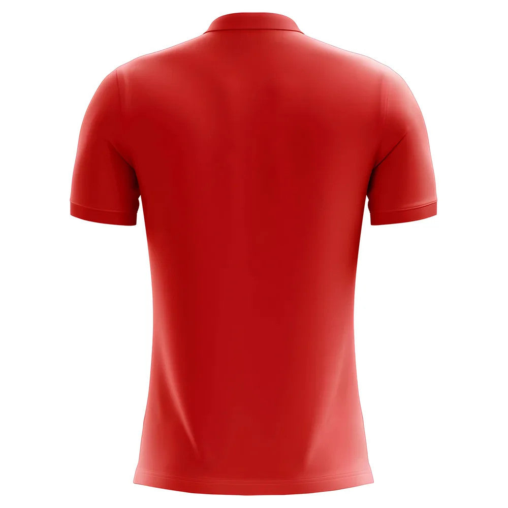 2025-2026 Western Sydney Wanderers Home Concept Football Shirt - Adult Long Sleeve_1