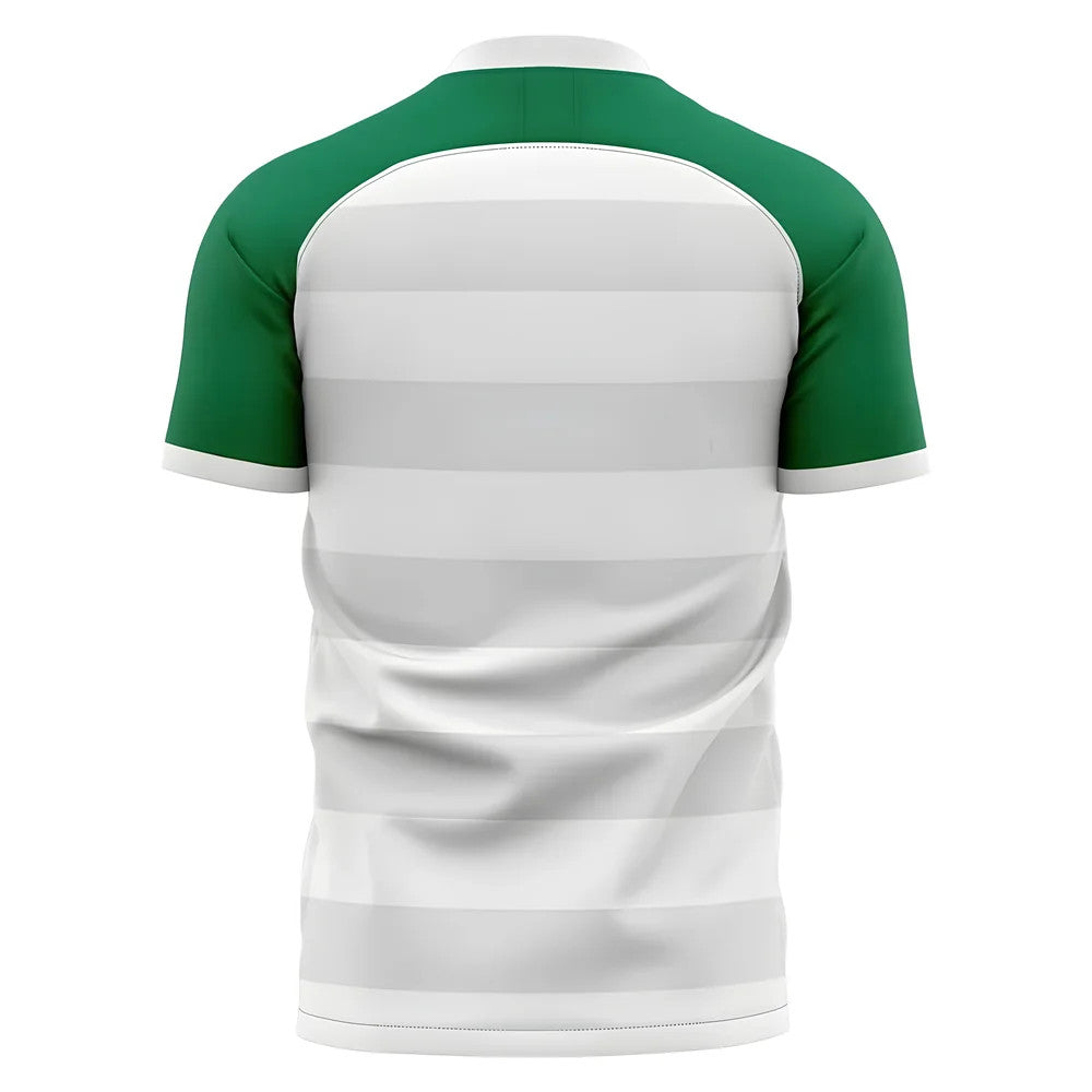 2025-2026 Panathinaikos Away Concept Football Shirt_1
