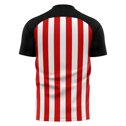 2025-2026 Sunderland Home Concept Football Shirt_1