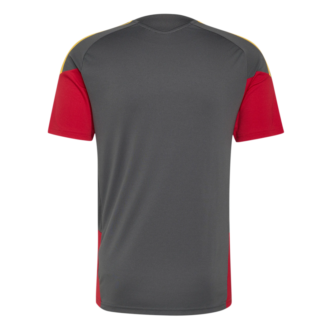 2026-2027 AS Roma Training Shirt (Grey)_2