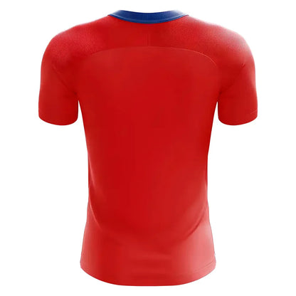 Czech Republic 2025-2026 Home Concept Football Kit (Airo)_1