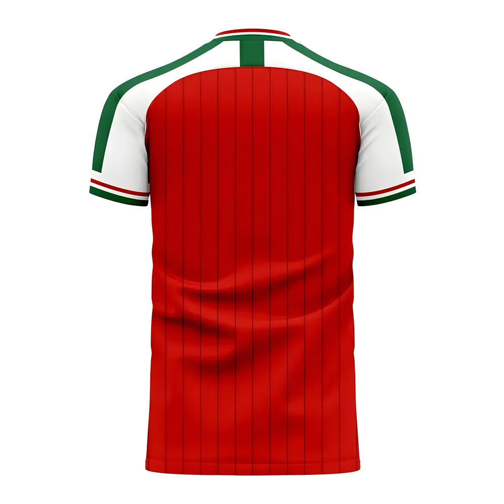 Hungary 2025-2026 Home Concept Football Kit (Libero) (PUSKAS 10)_4