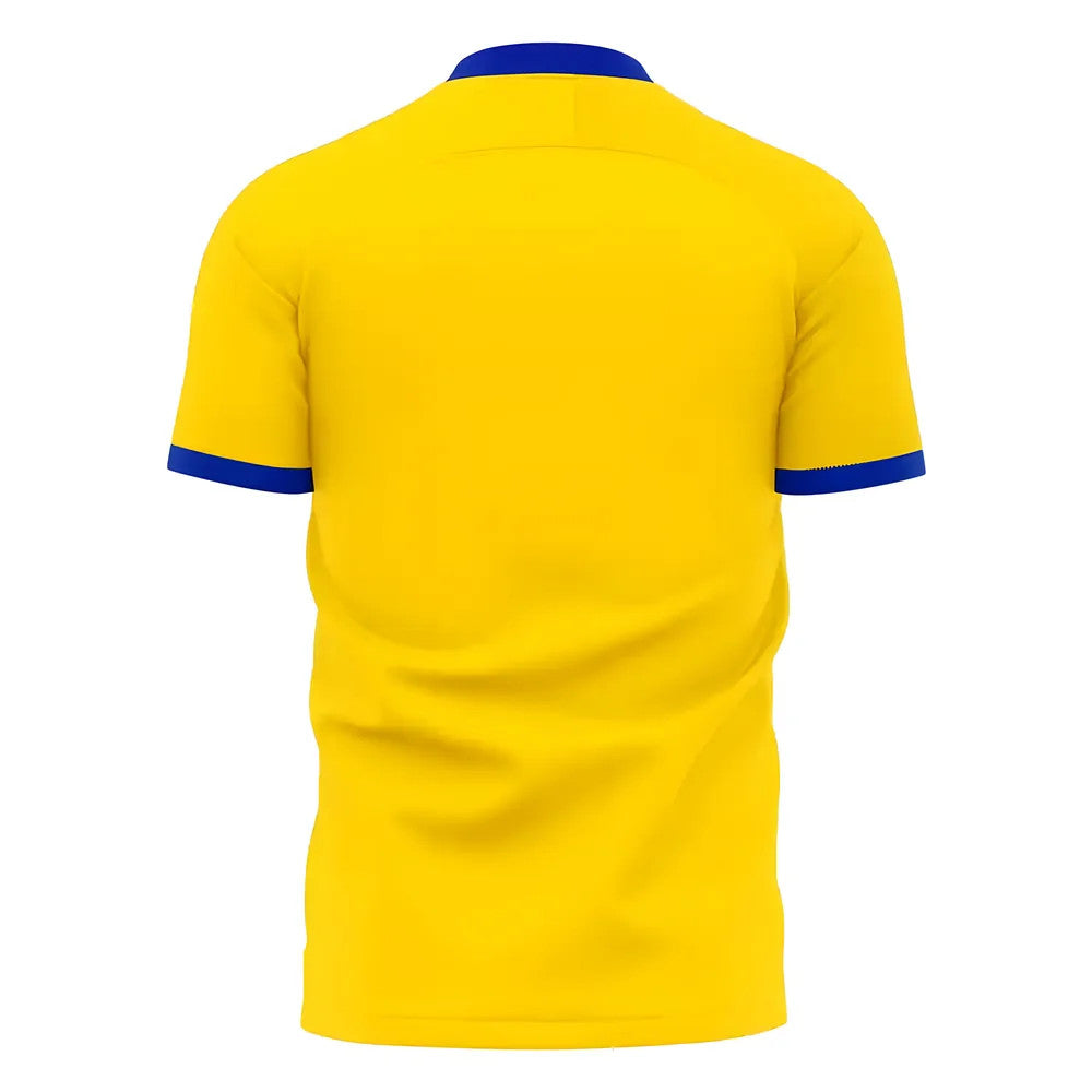 Kazakhstan 2025-2026 Home Concept Football Kit (Libero) - Adult Long Sleeve_1