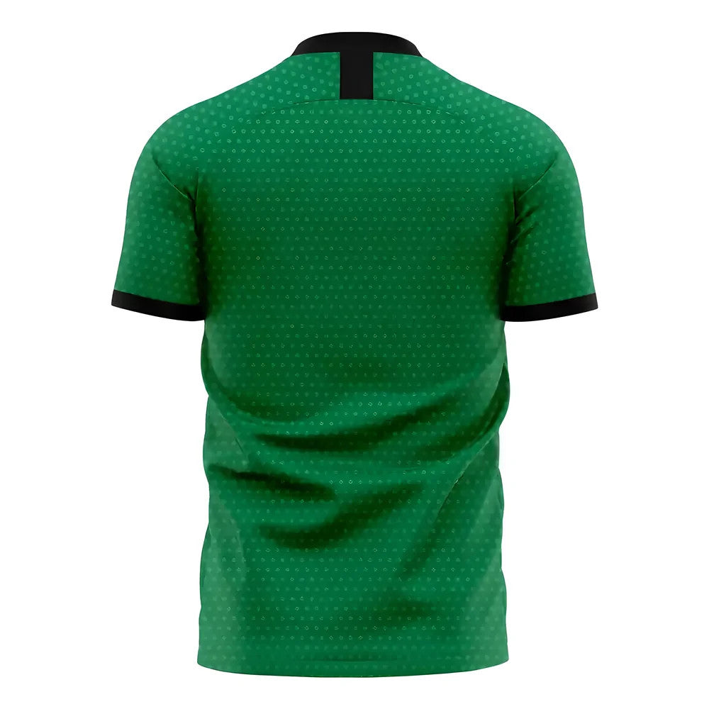 Nigeria 2025-2026 Home Concept Football Kit (Libero)_1