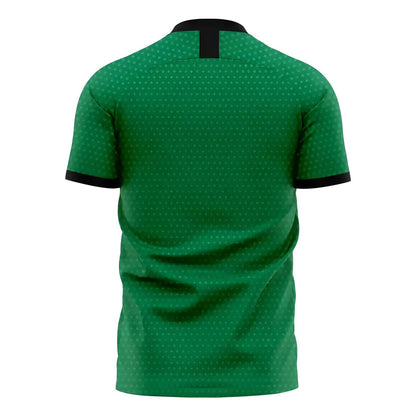 Nigeria 2025-2026 Home Concept Football Kit (Libero)_1