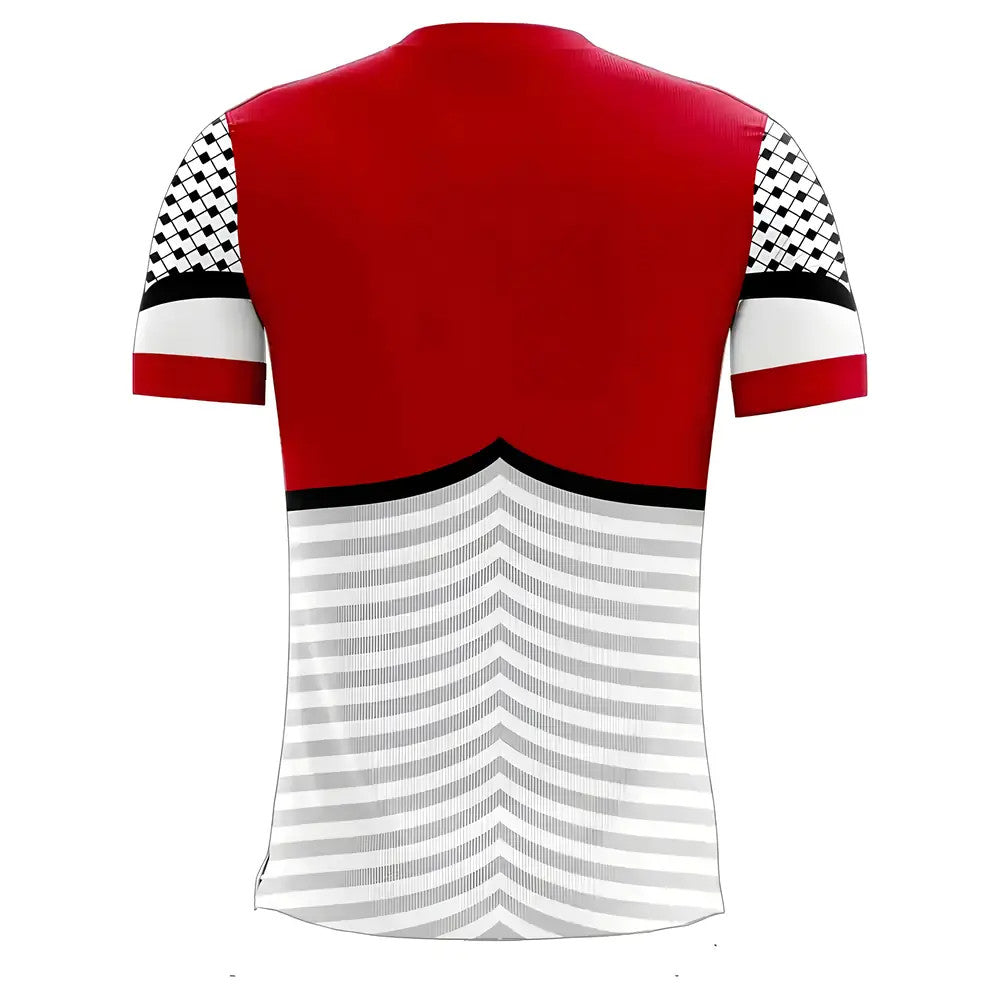 Palestine 2025-2026 Home Concept Football Kit (Libero)_1