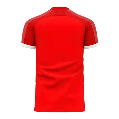 Serbia 2025-2026 Home Concept Football Kit (Libero) (MITROVIC 9)_3