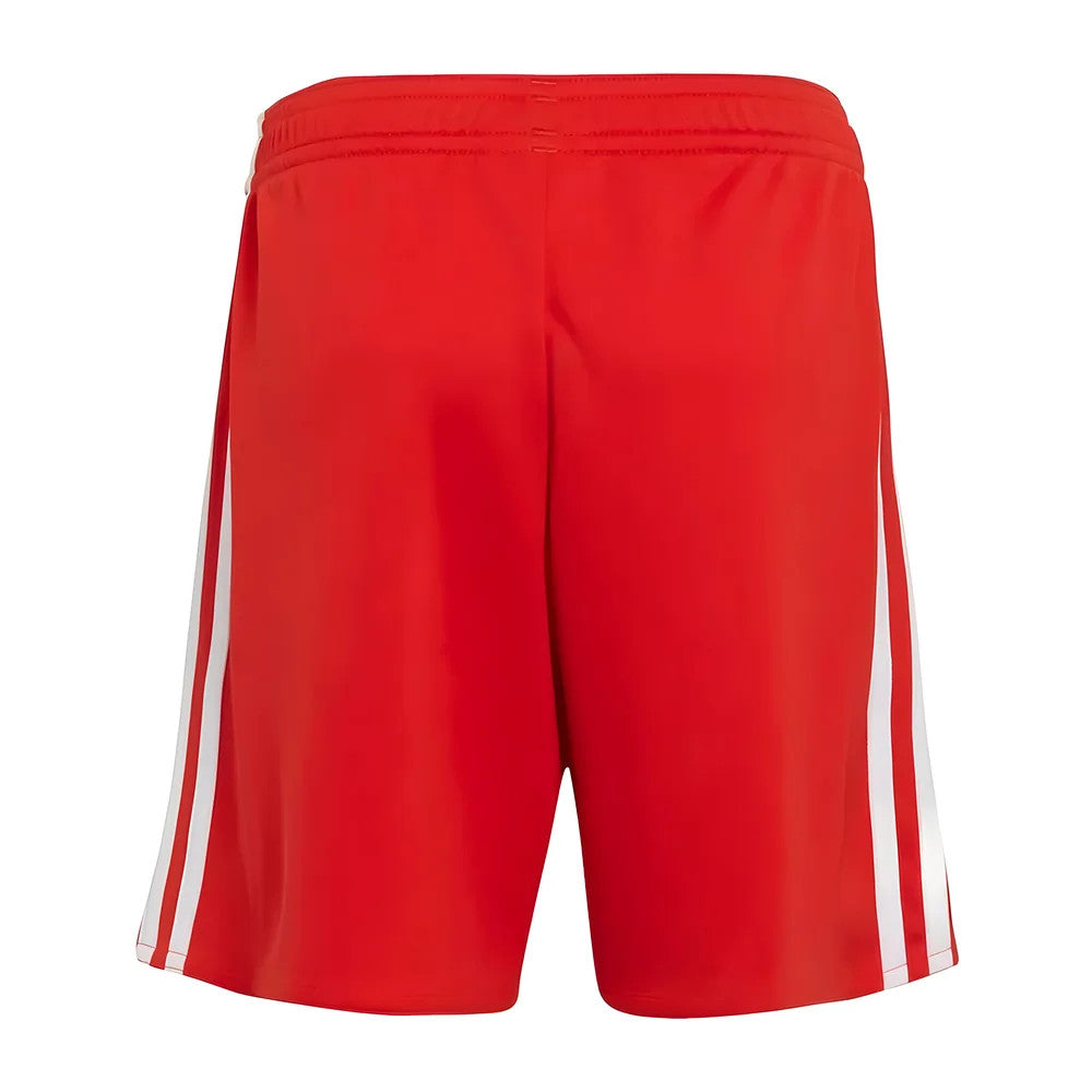 2022-2023 Bayern Munich Home Shorts (Red)_1