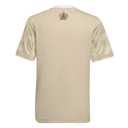 2022-2023 Ajax Third Shirt (Kids)_1