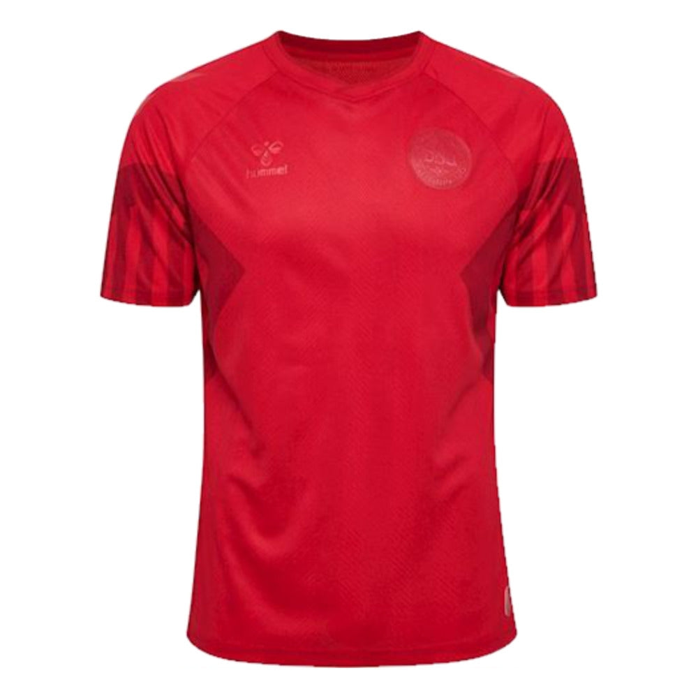 2022-2023 Denmark Home Jersey_1