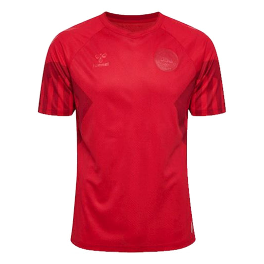 2022-2023 Denmark Home Jersey_1