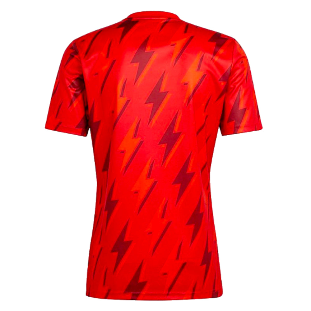 2023-2024 Arsenal Pre-Match Shirt (Red)_1