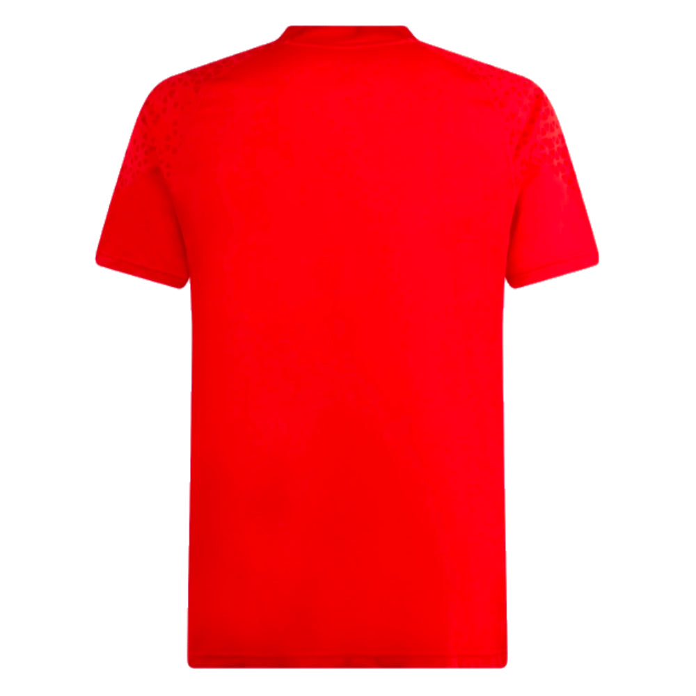 2023-2024 AC Milan Training Jersey (Red)_1