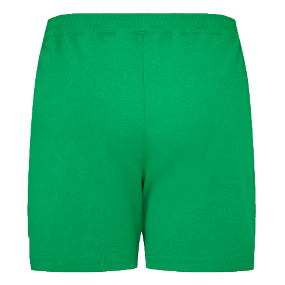 2023-2024 Republic of Ireland Away Shorts (Green)_1