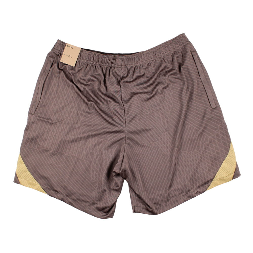 2023-2024 Tottenham Strike Training Shorts (Ironstone)_1