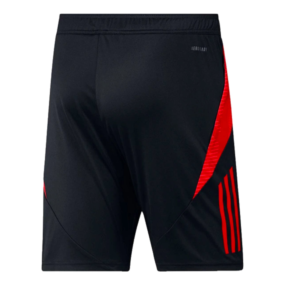 2024-2025 Belgium Training Shorts (Black)_1