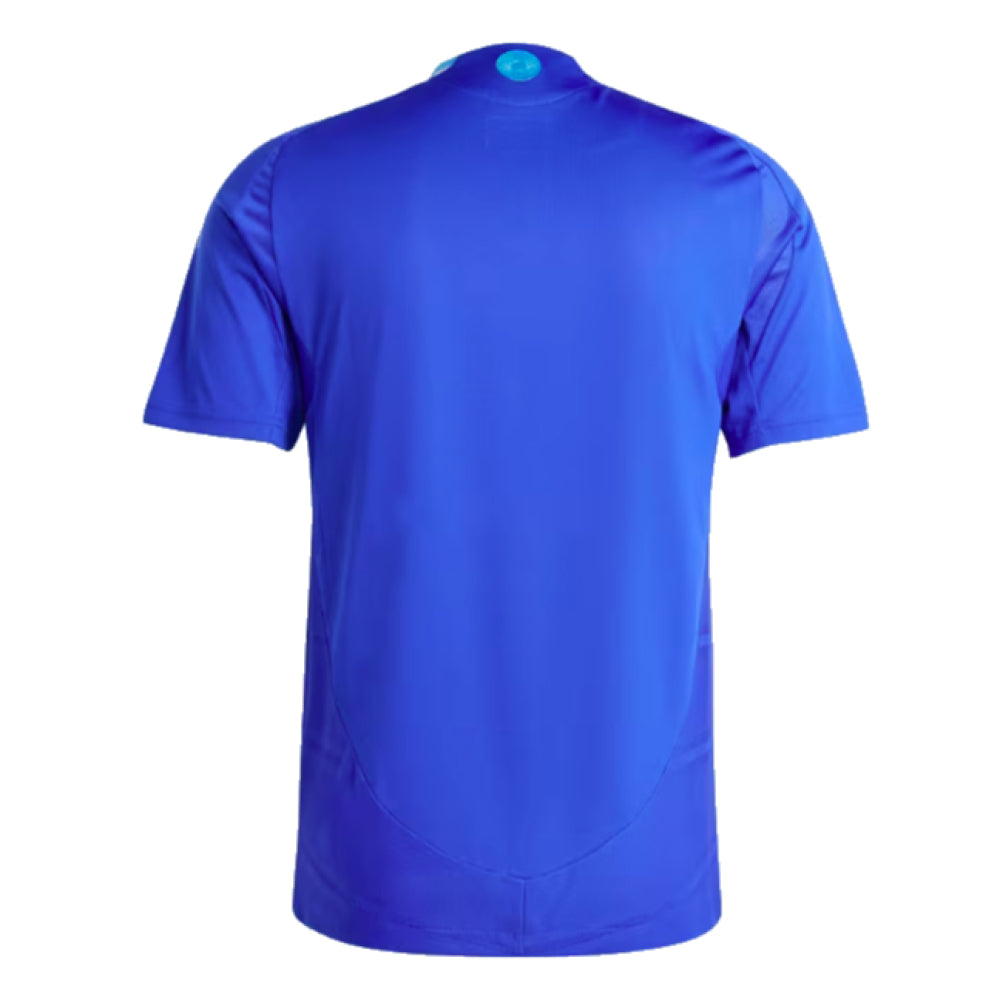 2024-2025 Argentina Authentic Away Shirt_1