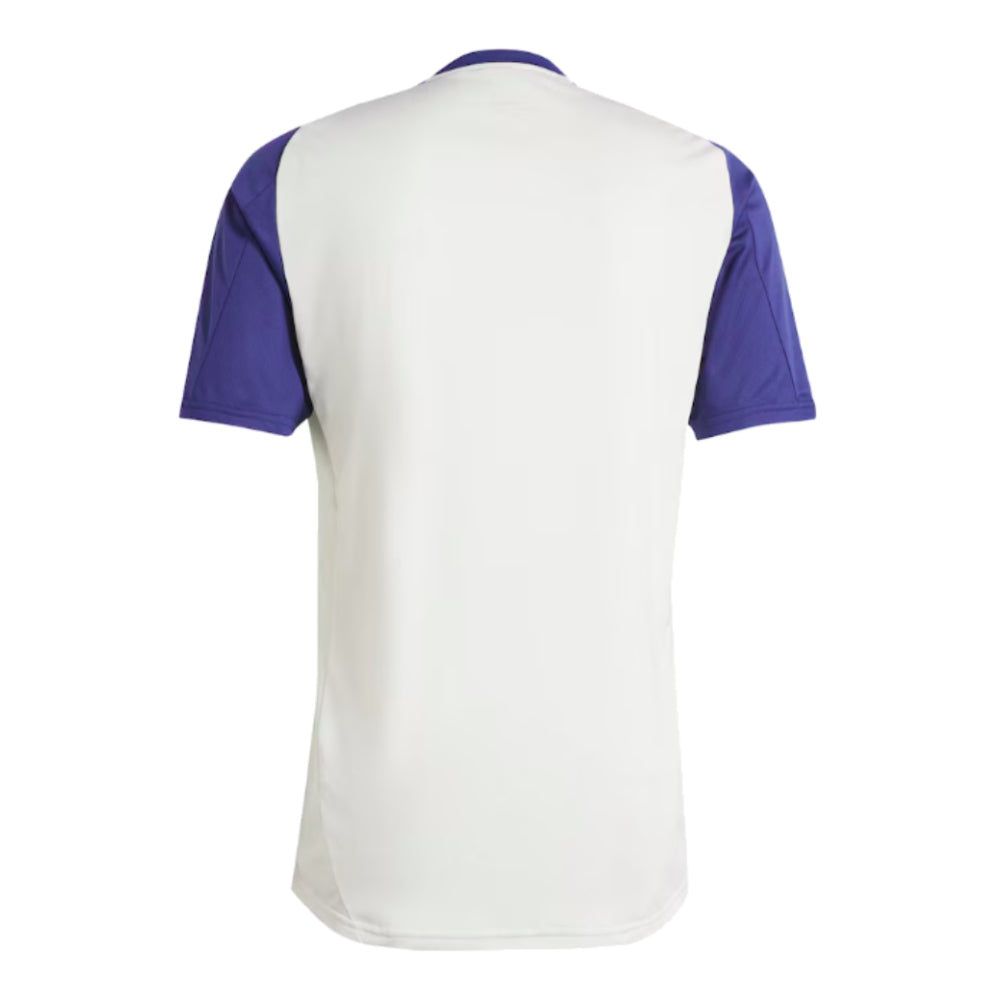 2024-2025 Olympique Lyon Training Jersey (White Tint)_1